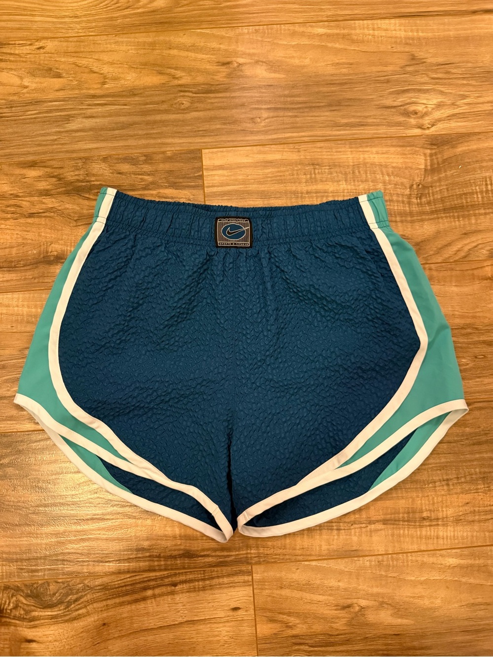 Nike Teal and Navy Athletic Running Shorts